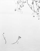 /files/gimgs/107_pellennec100207across100016.jpg