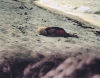 /files/gimgs/12_torememberbeach.jpg
