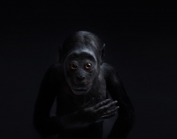 /files/gimgs/157_1500pxperttusecho2012.jpg