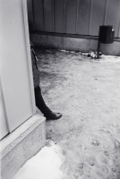 /files/gimgs/169_bader-1.jpg