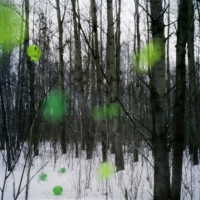 /files/gimgs/90_tiinatanskanen.jpg