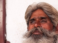 /files/gimgs/92_intia2008.jpg